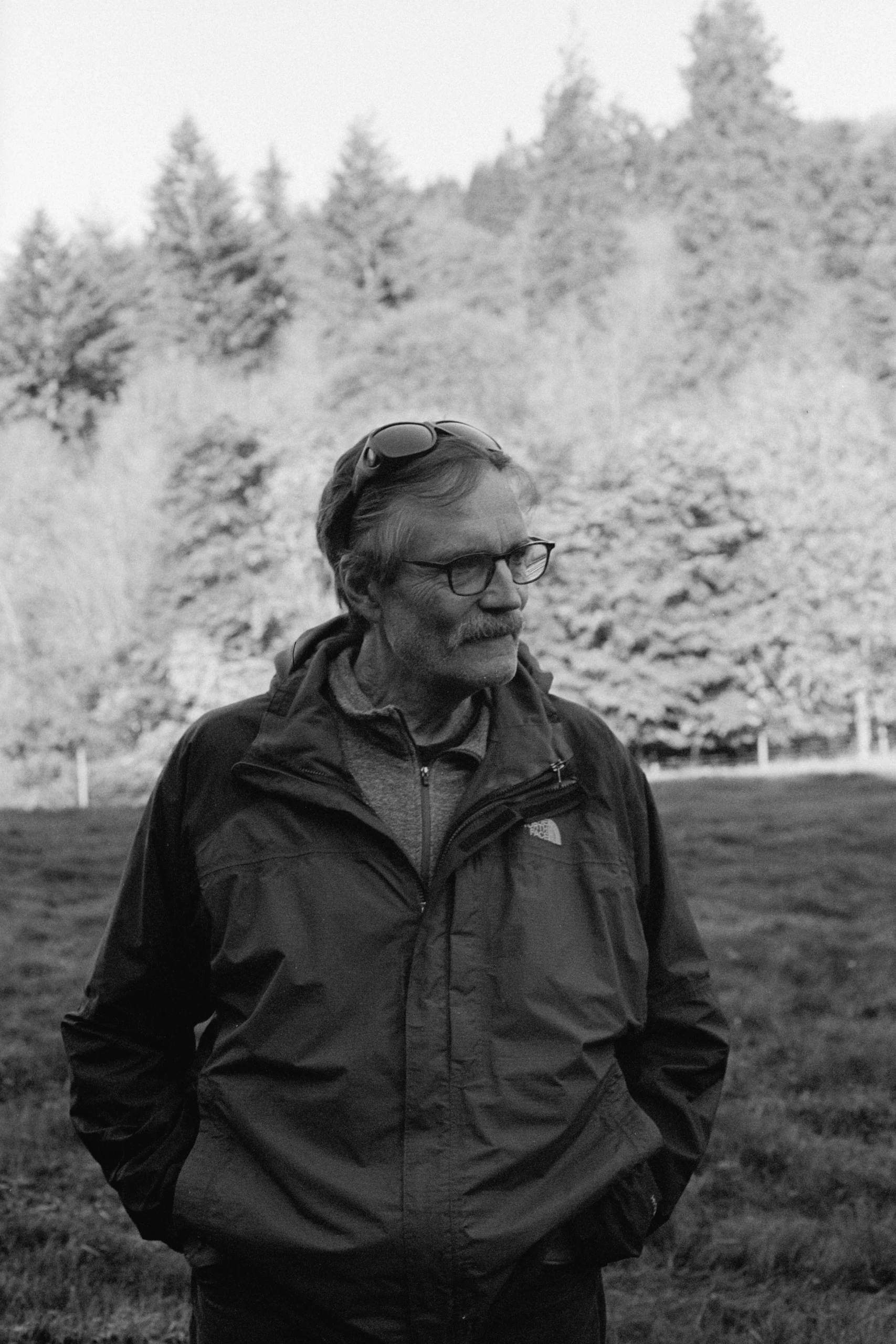 David DeVries